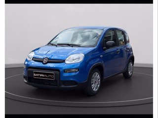 FIAT Panda 1.0 firefly hybrid s&s 70cv